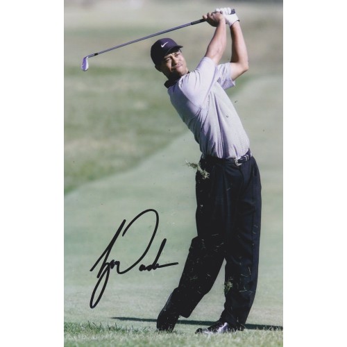 Tiger Woods, Signed 8x12 Photograph