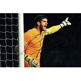 Frazer Forster Signed 10 x 8 England Football Photograph