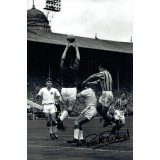 Peter Mcparland Signed Aston Villa 12 x 8 inch Football Photograph
